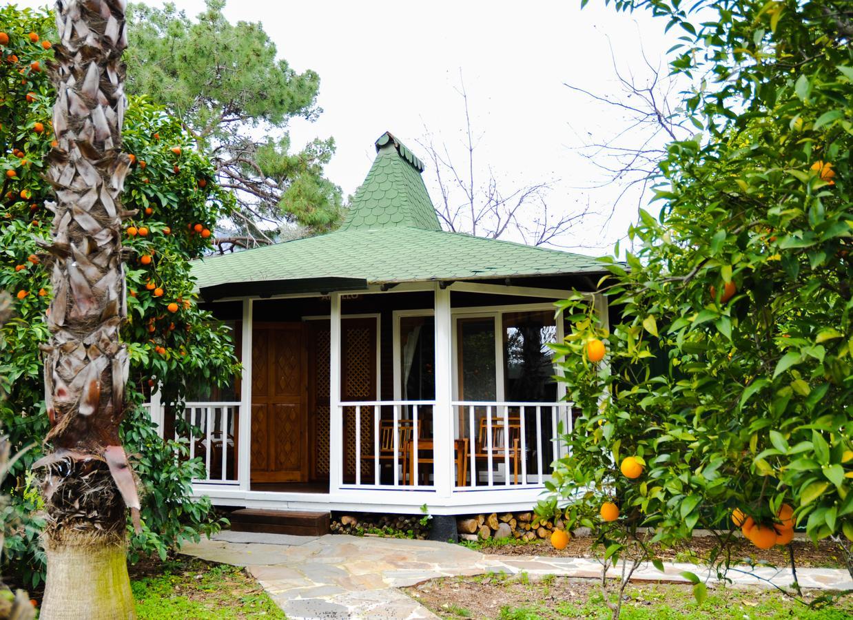 Arcadia Hotel Çıralı Buitenkant foto