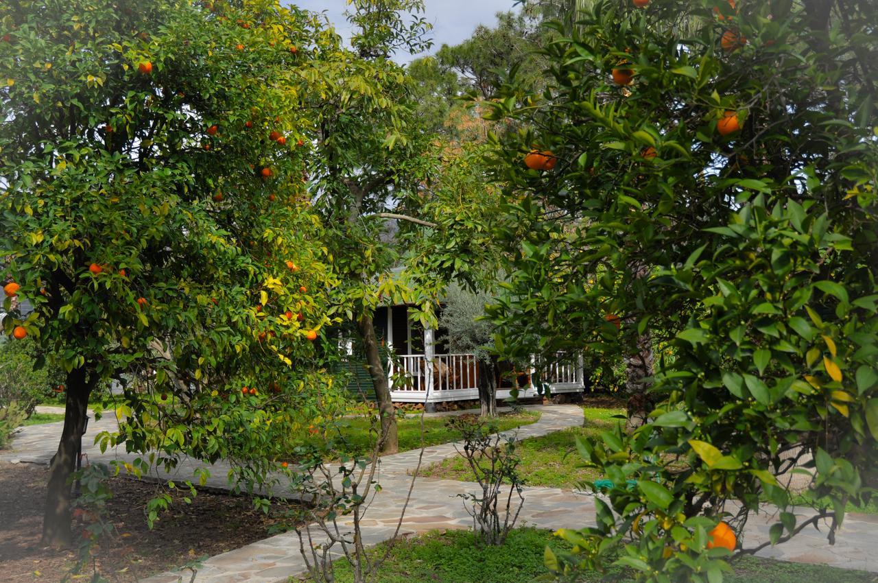 Arcadia Hotel Çıralı Buitenkant foto