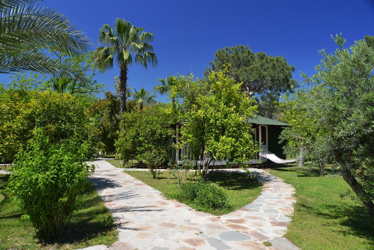 Arcadia Hotel Çıralı Buitenkant foto